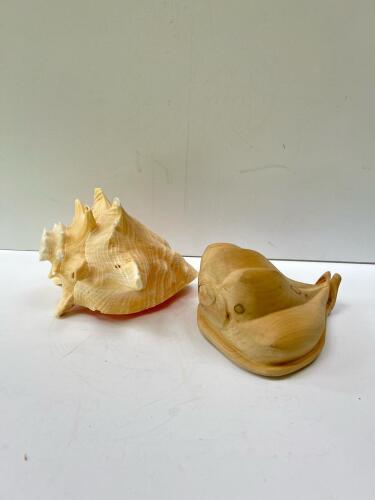 Queen Conch Shell & Hand-Carved Wooden Conch Sculpture Set, Decorative