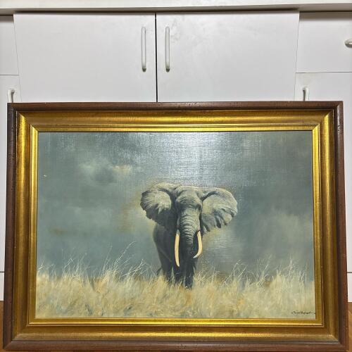Framed David Shepherd Painting of Elephant, 35"x26"