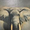 Framed David Shepherd Painting of Elephant, 35"x26" - 2