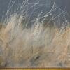 Framed David Shepherd Painting of Elephant, 35"x26" - 6