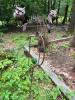 Kinetic Owl Garden Stake