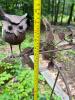 Kinetic Owl Garden Stake - 6