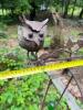 Kinetic Owl Garden Stake - 7