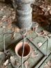 Antique Cast Iron Street Lamp Post with Ornate Acanthus Leaf Design - 4