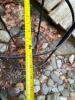 Metal Garden Obelisk Trellis - 7