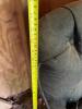 Antique Tufted Carriage or Railway Bench Seat - 8