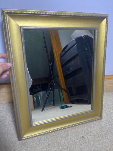 Gold Ornate Framed Wall Mirror
