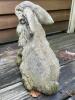Concrete Garden Rabbit Statue - 4