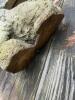 Concrete Garden Rabbit Statue - 5