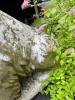 Large Concrete Dog Statue Garden Planter - 4