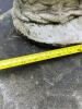 Large Concrete Dog Statue Garden Planter - 7