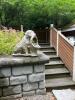 Large Concrete Dog Statue Garden Planter - 9