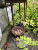 Cast Iron Pagoda Lantern - 3