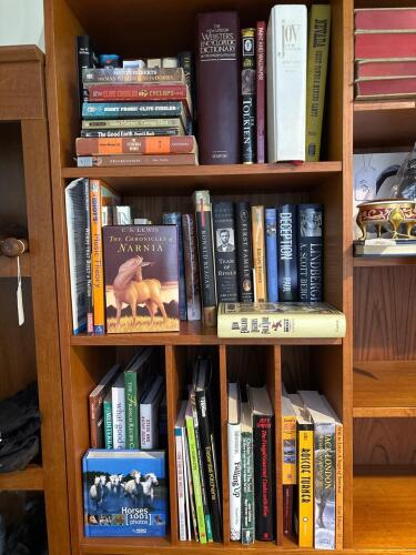 Mixed Hardcover & Paperback Book Lot