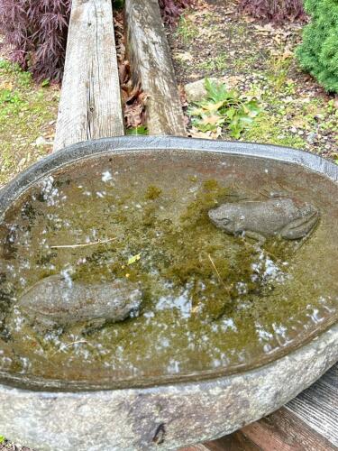 Carved Stone Bird Bath with Frog Figures, Heavy Stone