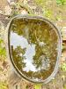 Carved Stone Bird Bath with Frog Figures, Heavy Stone - 2