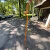 Hand-Carved 58" Tall Wooden Walking Stick with Hand Grip - 2