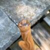Hand-Carved 58" Tall Wooden Walking Stick with Hand Grip - 4