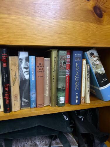 Mixed Lot of 15+ Hardcover and Paperback Books, Jane Austen, "Hillbilly Elegy", Memoirs, and More