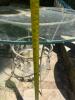 Round Glass Outdoor Patio Table with Ornamental Metal Leaf Base - 4