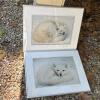 Pair of Bob Mumford Arctic Fox Photograph Prints, Signed & Framed, 20"x16"