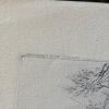 Mixed Lot of Art: Prints, Illustrations, Photographs - 5