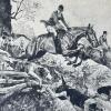 Mixed Lot of Art: Prints, Illustrations, Photographs - 8