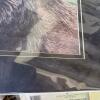 Mixed Lot of Art: Prints, Illustrations, Photographs - 12