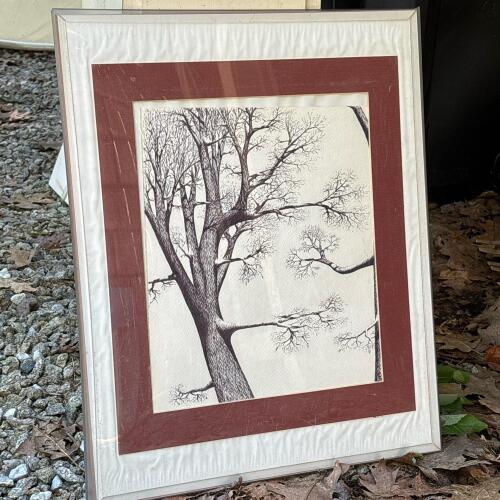 Large Framed Original Pen & Ink Tree Artwork, 16"x20"