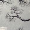 Large Framed Original Pen & Ink Tree Artwork, 16"x20" - 3