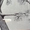 Large Framed Original Pen & Ink Tree Artwork, 16"x20" - 4