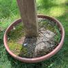 2 Decorative Wooden Birdhouses on Posts with Metal Roofs and Planter Bases - 6