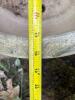 Set of 5 Large Ceramic Garden Planters - 12