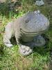 Concrete Garden Frog Statue - 2
