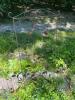 Decorative Metal Garden Trellis with Leaf Design
