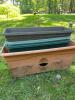 Assorted Plastic Garden Planters and Pots
