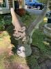 Concrete Gargoyle Statue
