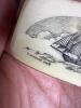 Scrimshaw Engraved Folding Pocket Knife, Artist D. Kihakore 2008 - 4