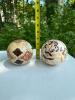 Painted Decorative Lawn Bowling Orbs - 2