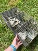 Dual Door Humane Live Animal Trap - 2