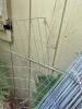 Galvanized Welded Wire Fence Roll - 3