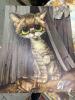 Lot of Mixed Artworks - 2