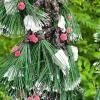 Set of 3 Artificial Tabletop Pine Trees with Flocked Branches and Red Berries - 3