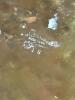 Apollo Studios New York Copper Hand-Hammered Inkwell - 4