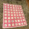 Handmade Animal Motif Embroidered Quilt - Pink and Lavender