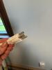 Lights of America 8045 Hanging Fluorescent Light Fixture with GE Plant & Aquarium Bulbs - 5
