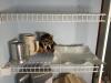Random Miscellaneous Collections - 2