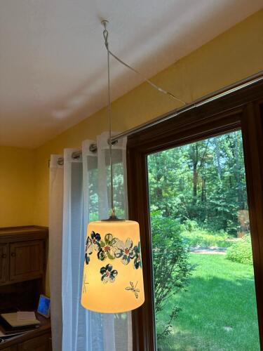 Floral Glass Plug-In Pendant Light