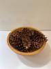 Woodland Collection Wood Bowl with Pinecones