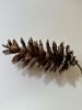 Woodland Collection Wood Bowl with Pinecones - 6